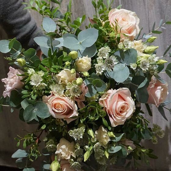 Elegant rose