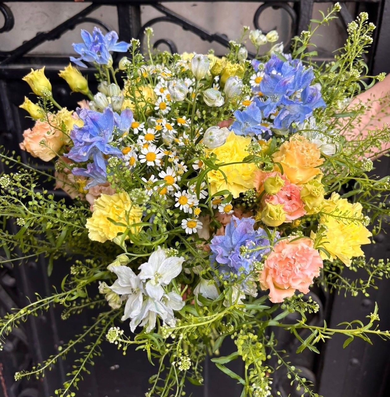 P'tit champêtre multicolore