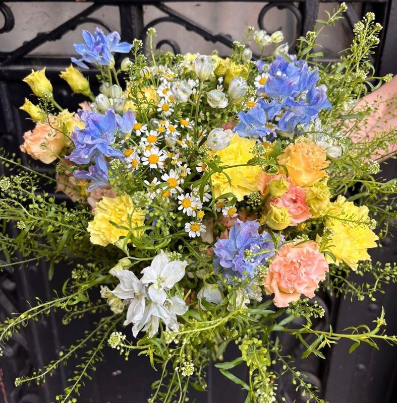 P'tit champêtre multicolore