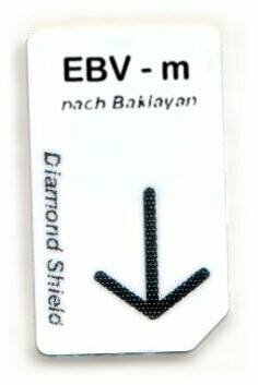 EBV - m Energetische Unterstützung beim Epstein Barr Virus