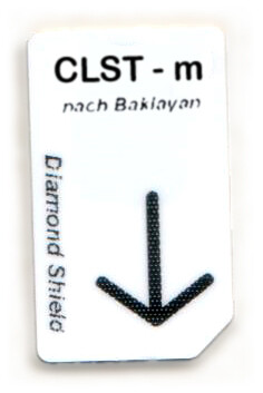 CLST - m Energetische Unterstützung bei Clostridien, Bakterium