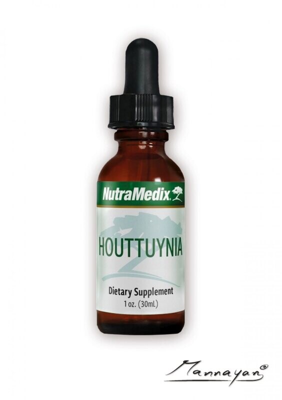 Houttuynia
