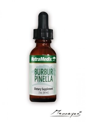 Burbur-Pinella