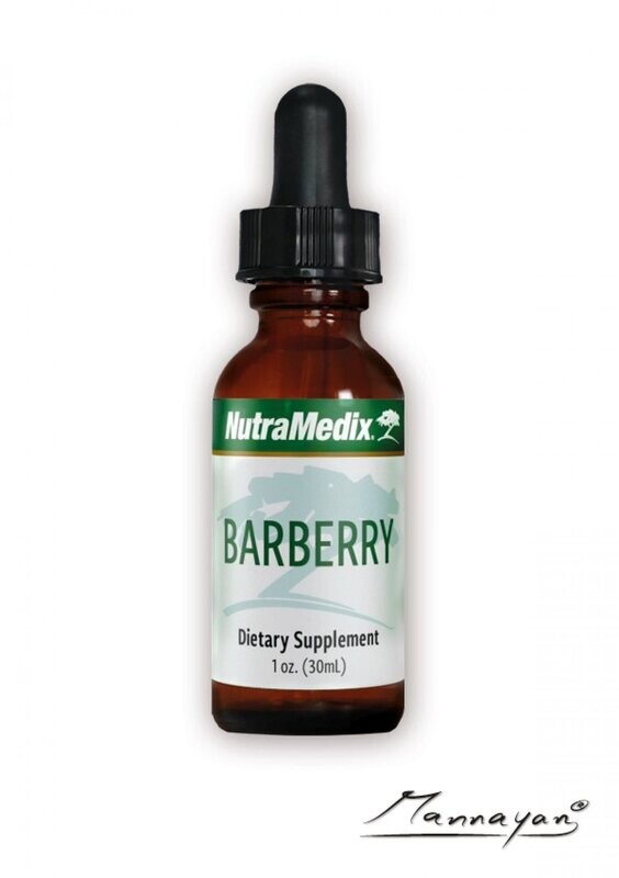 Barberry