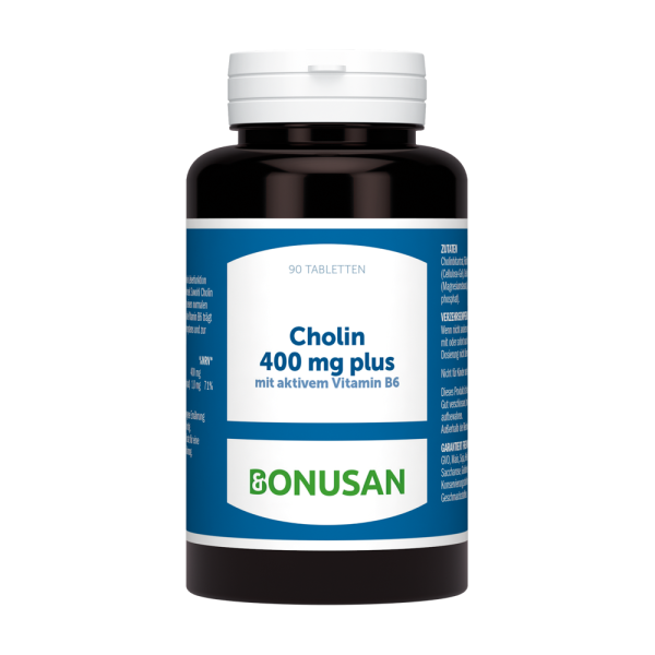 Cholin 400mg plus | Tabletten 90 Stk.