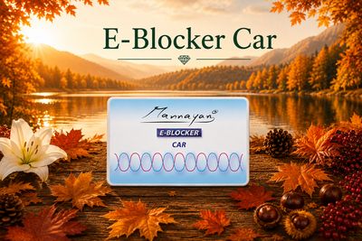 E-Blocker Car