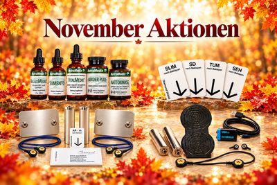November-Aktionen