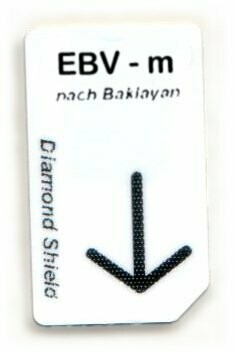 EBV - m Chipcard EBV - m Chipcard
