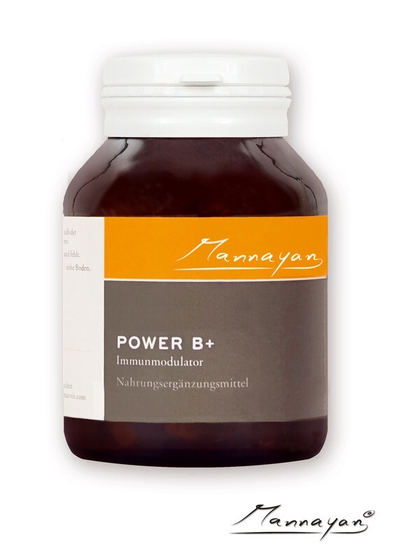 Mannayan POWER B +