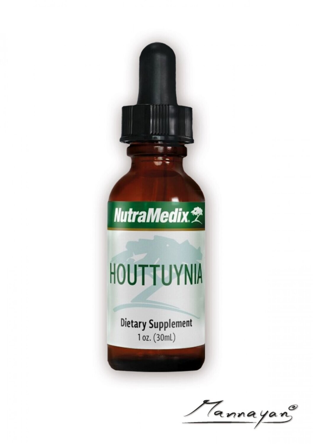 Houttuynia