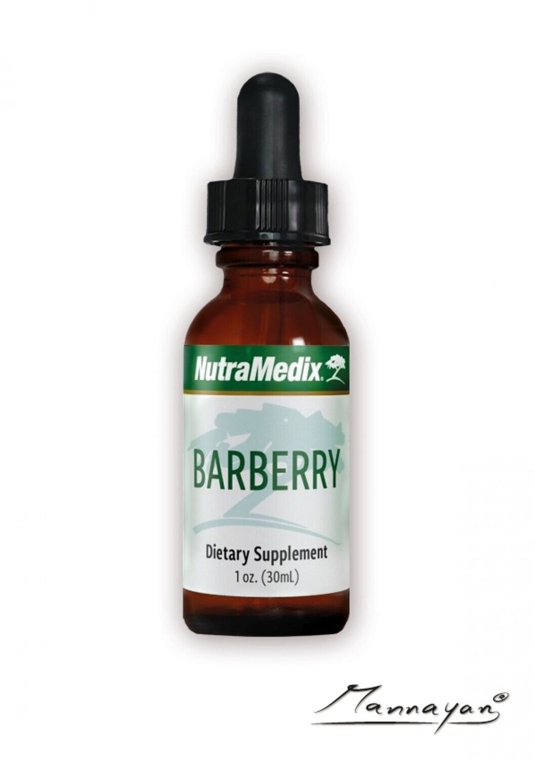 Barberry
