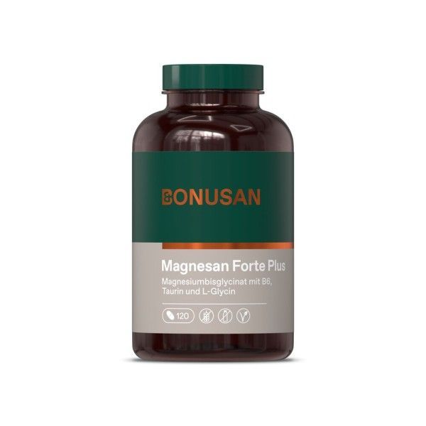Magnesan Forte Plus | Tabletten 120 Stk.