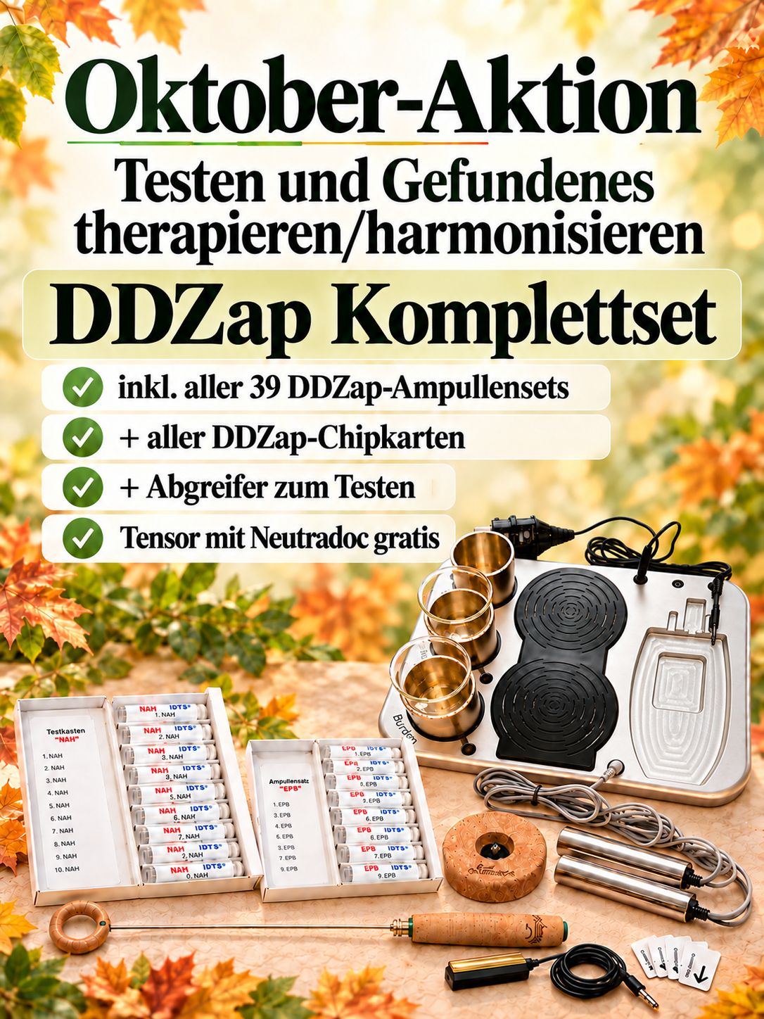 DDZap - Deep Discharge Zap Kompl. Bundle (DDZ + Prof. + Fraktal-Verstärker) DDZap - Deep Discharge Zap Kompl. Bundle (DDZ + Prof. + Fraktal-Verstärker)