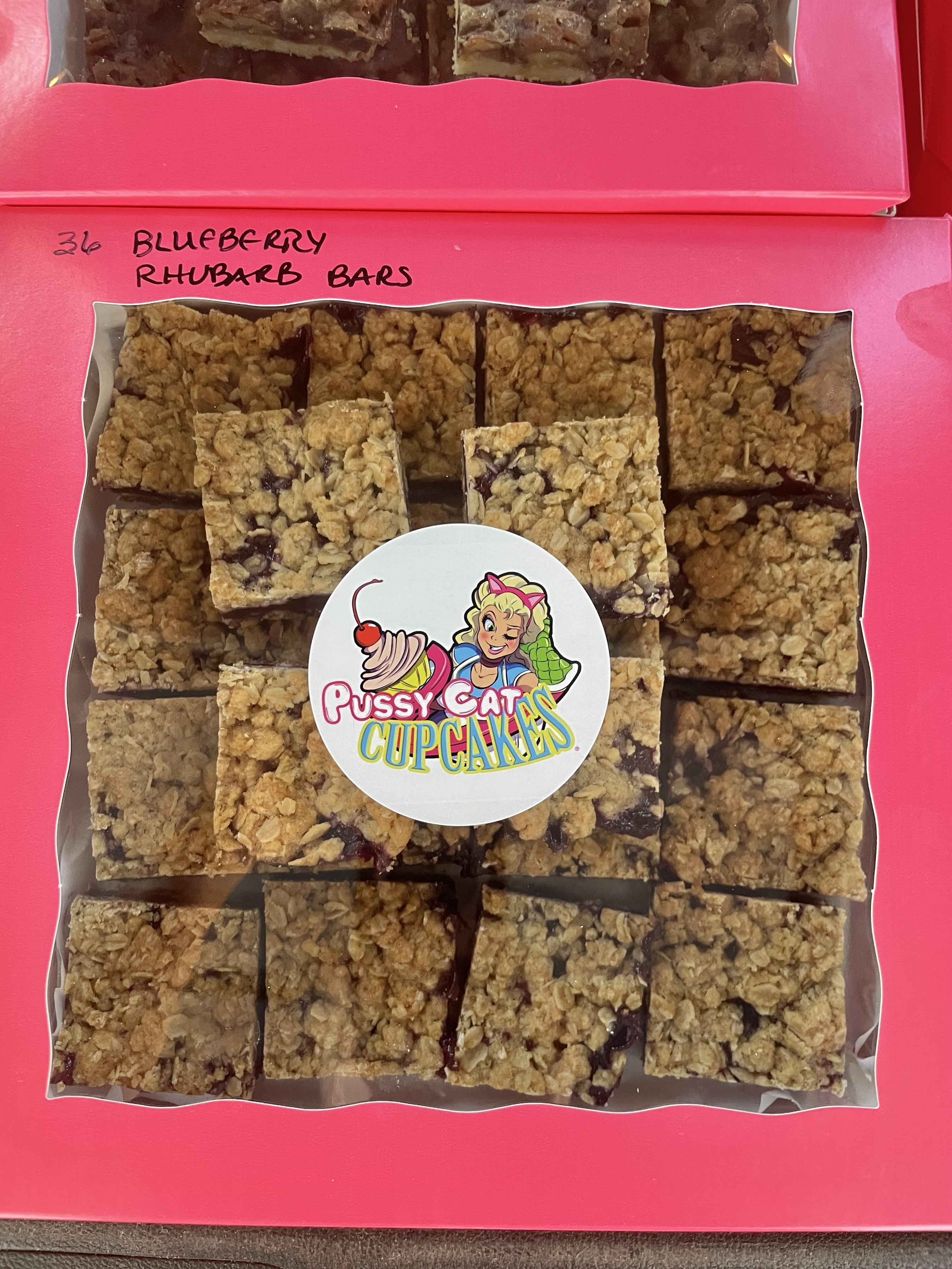 BLUEBERRY RHUBARB OAT BARS