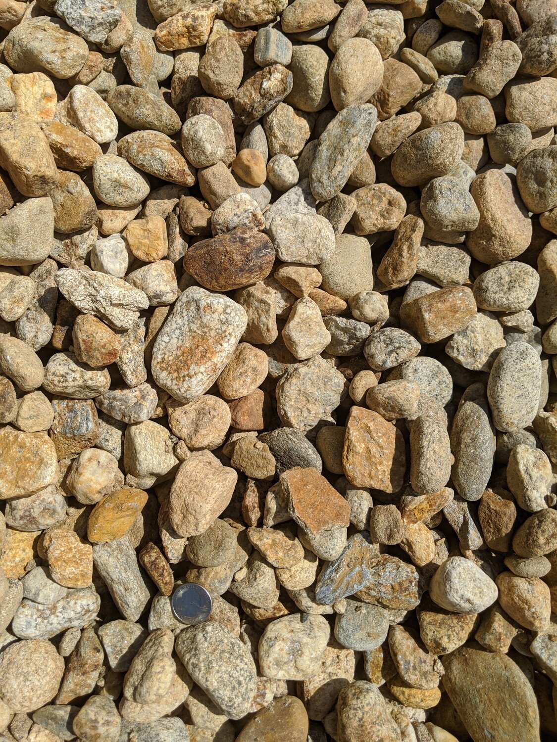 1-1/2 in. Yellow Stone