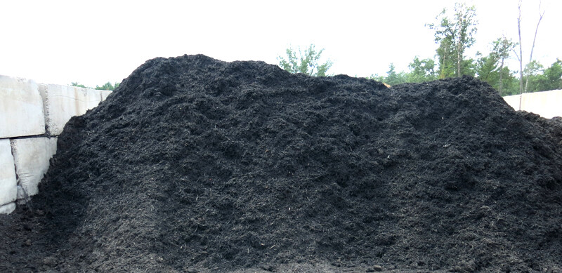 Black Mulch