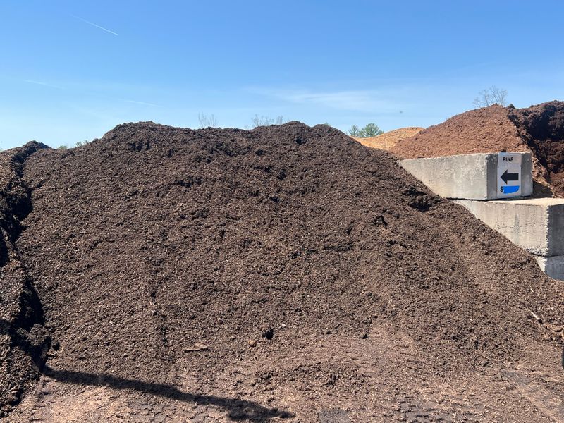 Natural Pine Mulch