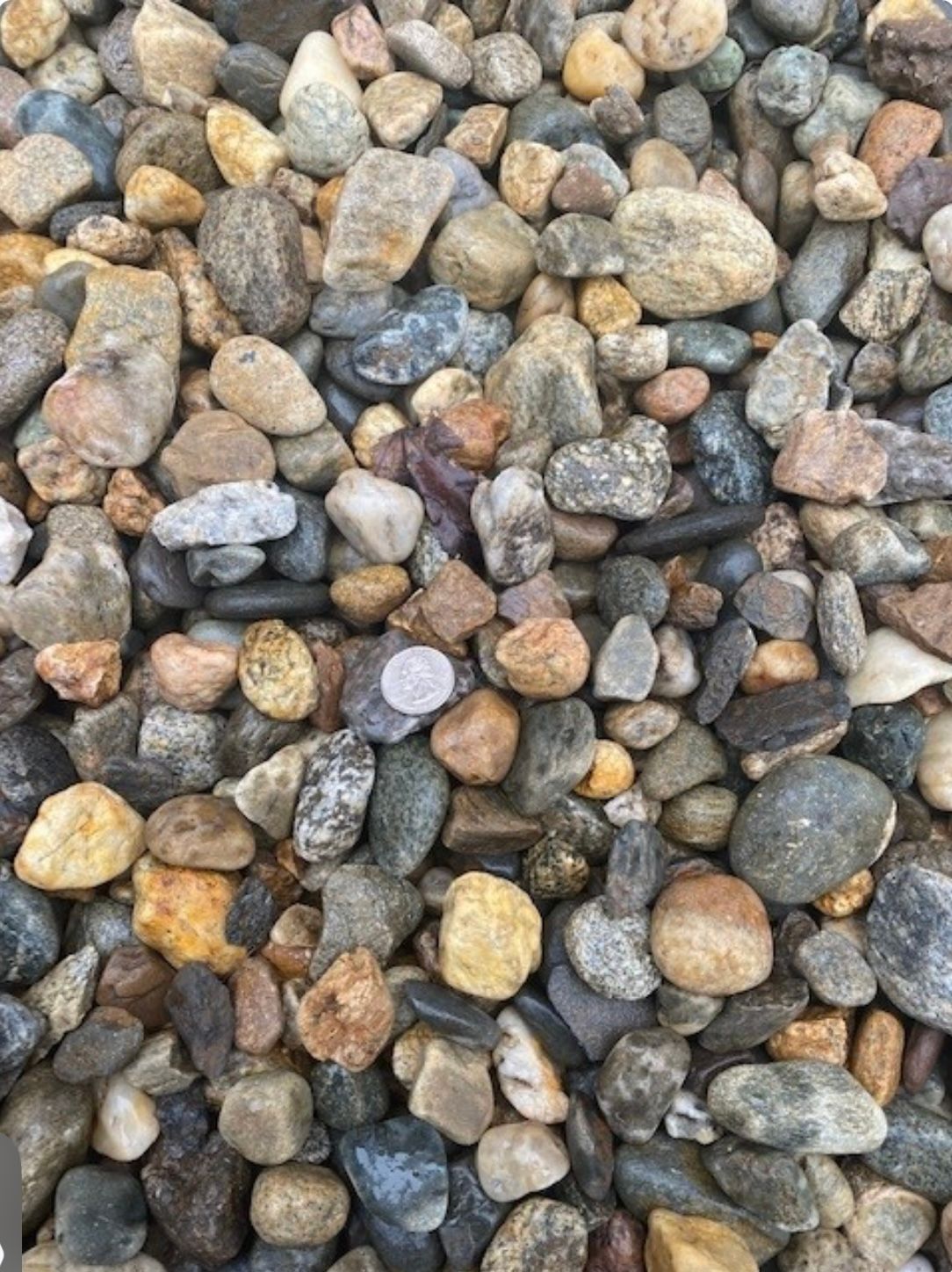1 1/2 Tan Stone