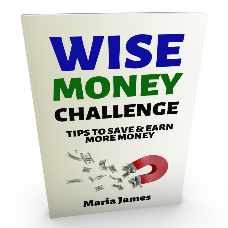 WISE Money Challenge ebook