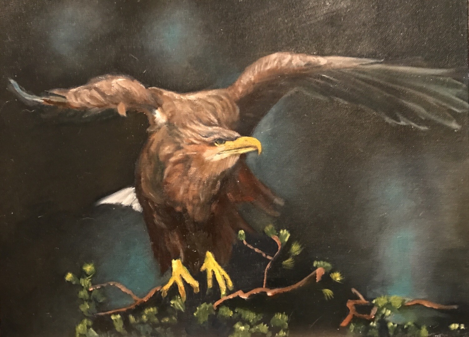 «Ørn for landing»