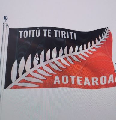 TOITŪ  TE TIRITI AOTEAROA