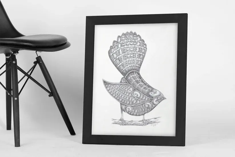 Fantail-Piwaiwaka