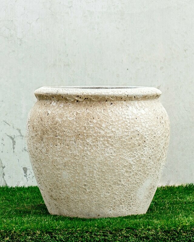 LARGE BETA POT 
(75cm X 65cm)