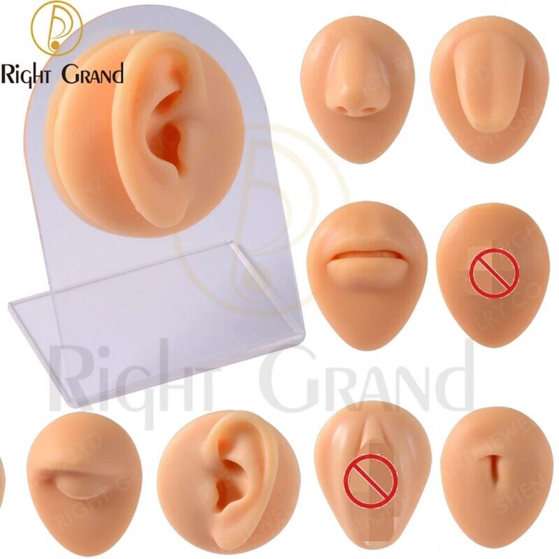 Right Grand Soft Silicone Model Body Part Displays for Acupuncture Human Model Simulation for Jewelry Display Teaching Tool