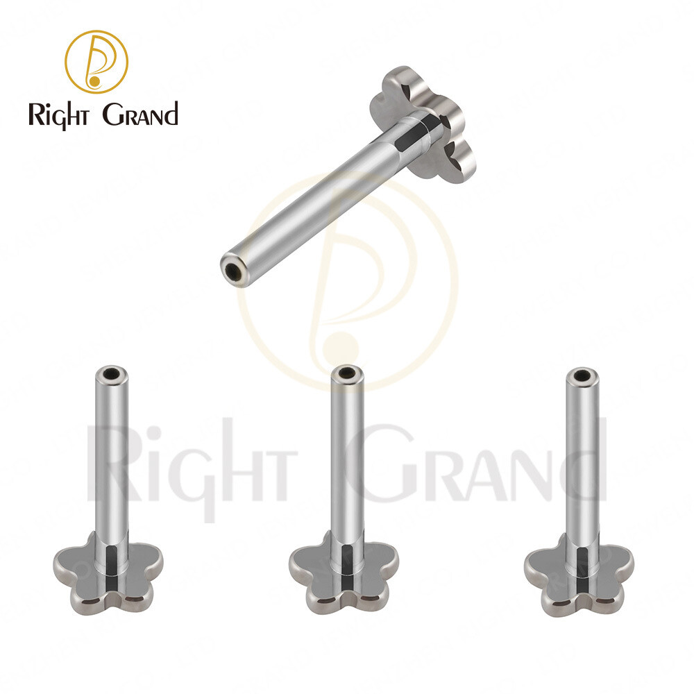 Right Grand 16G Implant Grade Titanium Internal Thread Plum Labret Post