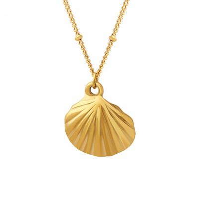 Right Grand Trendy Boho Fashion Women Simple Jewelry Stainless Steel Gold Plated Ocean Jewelry Cowry Shell Necklace