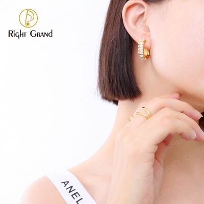 Right Grand New Arrival Trendy Gold Plated U Shape Zircon Earring Fashion Stainless Steel Chic Gold Earrings Women