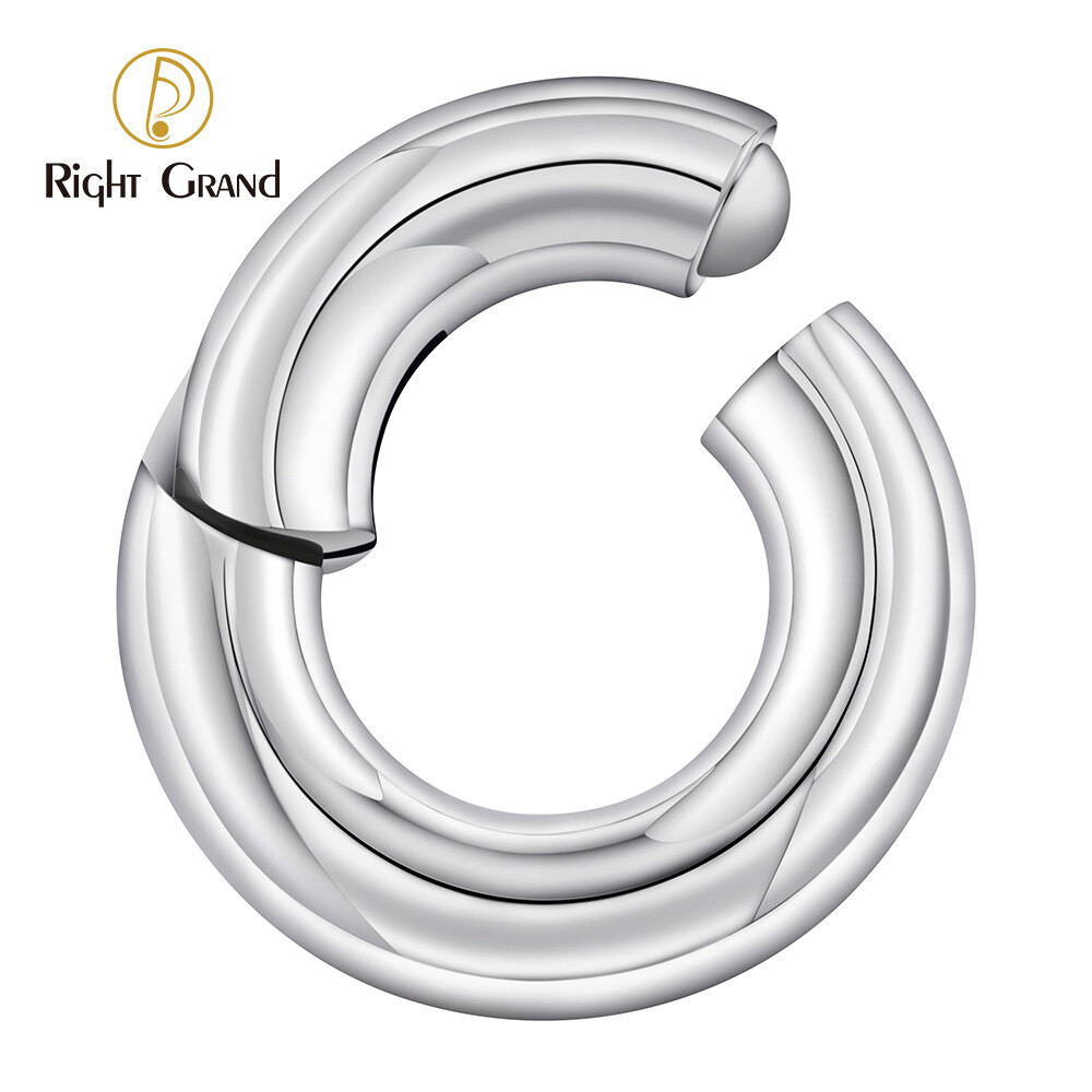 Right Grand Large Gauge ASTM F136 Titanium Hinged Segment Nose Hoop Ring Helix Earrings