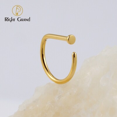 Right Grand Implant Grade ASTM F136 Titanium Mirror Polish D Shape Nose Ring