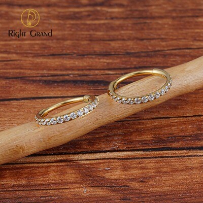 Right Grand 20G ASTM F136 Titanium Implant Grade Claw Set Opal Zircon Nose Rings Conch Piercings