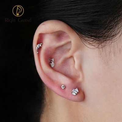 Right Grand ASTM F136 Titanium 16G Internal Thread Dolphin Flat Back Labret Stud Cartilage Earring Helix Tragus Stud Nose Piercing Body Jewelry