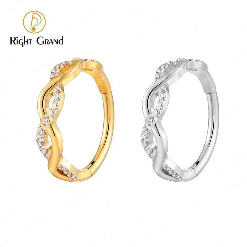 Right Grand ASTM F136 Titanium Twisted Rope Huggie Hoop Earring 16G Infinity CZ Hinged Clicker Septum Nose Ring Earlobe Piercing Right Grand ASTM F136 Titanium Twisted Rope Huggie Hoop Earring 16G Infinity CZ Hinged Clicker Septum Nose Ring Earlobe Piercing