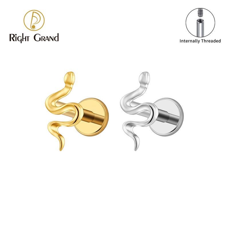 Right Grand ASTM F136 Titanium 16G Internal Threaded Mini Snake Cartilage Earring 16G Tiny Serpent Flat Back Labret Helix Tragus Stud Piercing Jewelry Right Grand ASTM F136 Titanium 16G Internal Threaded Mini Snake Cartilage Earring 16G Tiny Serpent Flat Back Labret Helix Tragus Stud Piercing Jewelry