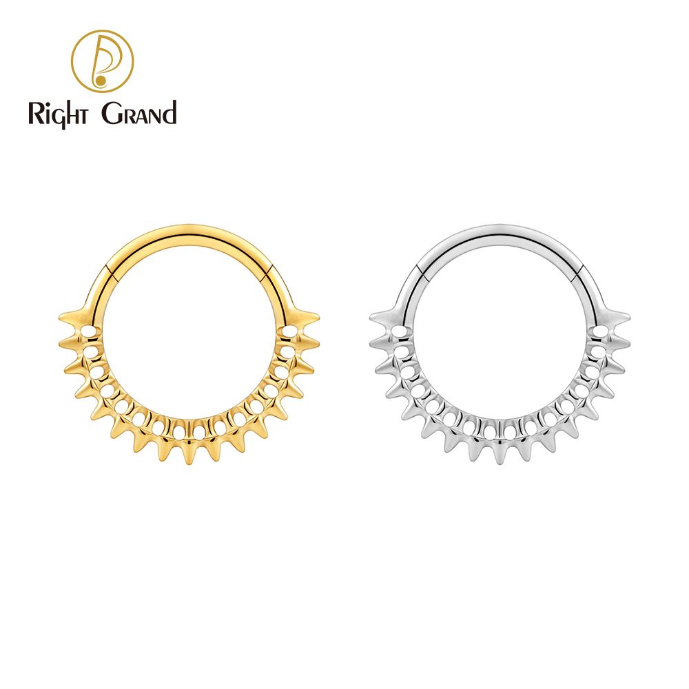 Right Grand ASTM F136 Titanium 16G Gear Hinged Clicker Segment Hoop Ring Daith Earring Septem Nose Piercing