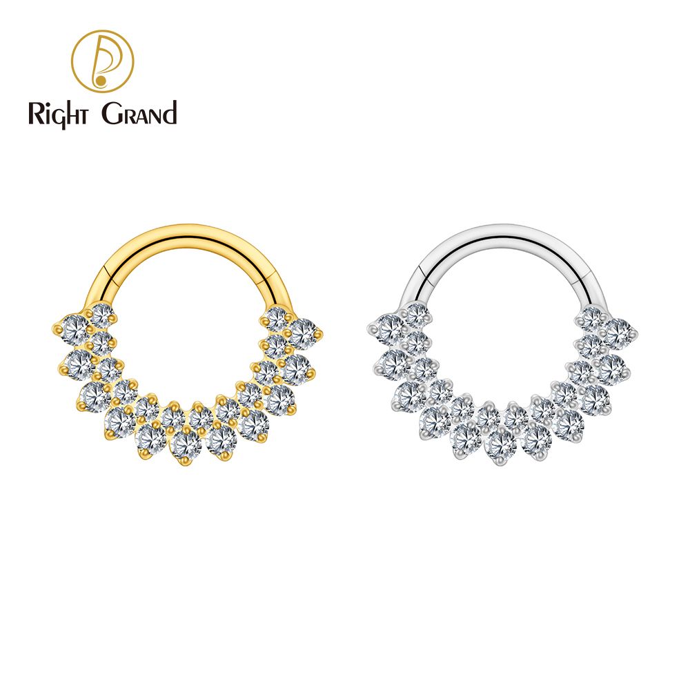 Right Grand ASTM F136 Titanium 16G CZ Hinged Clicker Segment Hoop Ring Double Row CZ Daith Earring Septem Nose Piercing