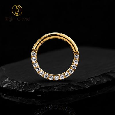 Right Grand Implant Grade Titanium Prong Setting Cubic Zircon Paved Daith Piercing Nose Clicker Ring