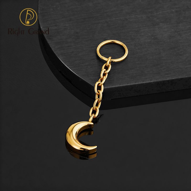 Right Grand ASTM F136 Titanium Moon Drop Ring Charm for Ear Lobe Dangle Hoop Huggie Earrings