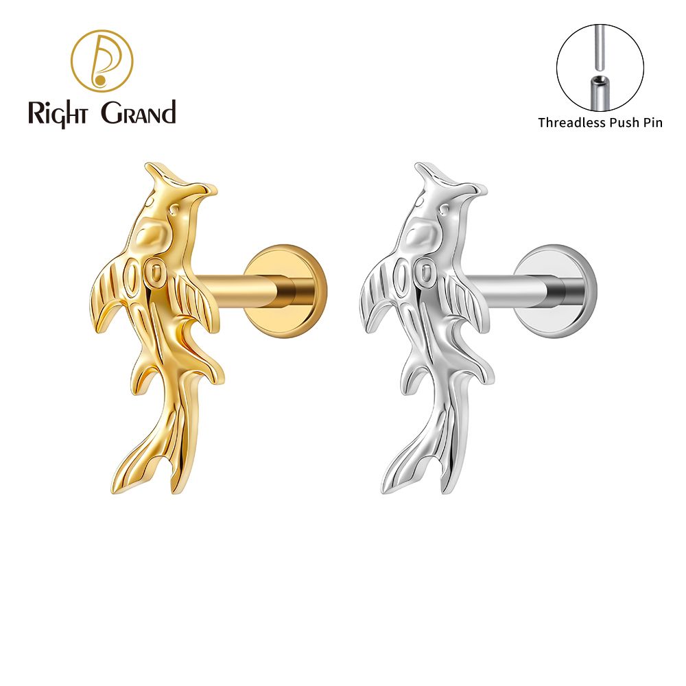 Right Grand Titanium 16G/18G Threadless Push Pin Koi Fish Cartilage Earring Tiny Tragus Stud Helix Conch Flatback Piercing 16G Animal Body Jewelry