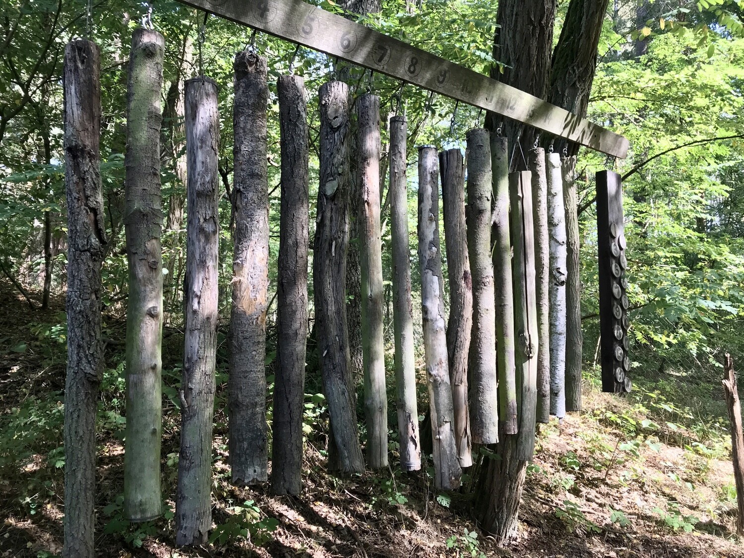 Early Bird - Spring Blossom Retreat