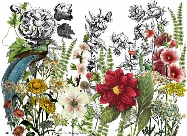 Midnight Garden Decor Transfer