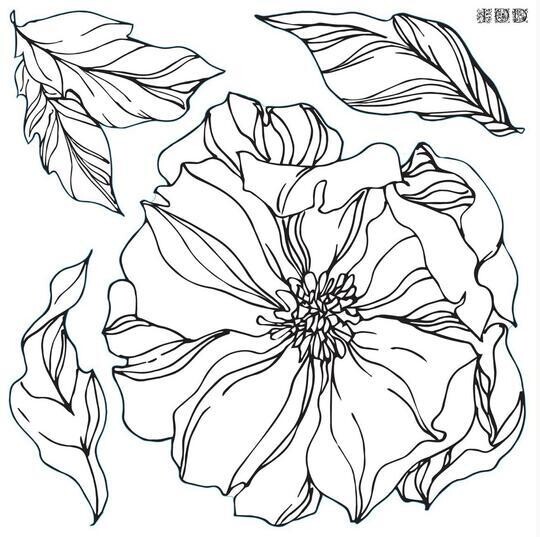 Peonies Decor Stamp
