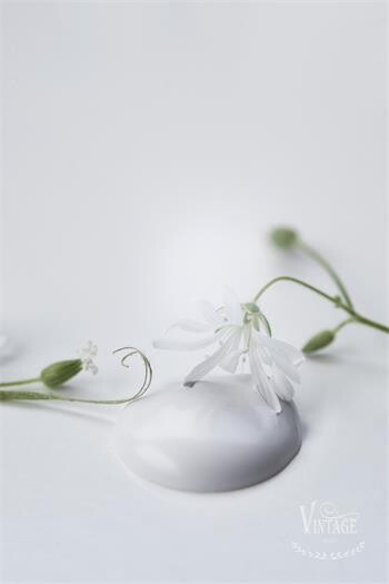 Natural White Vintage Paint 700ml