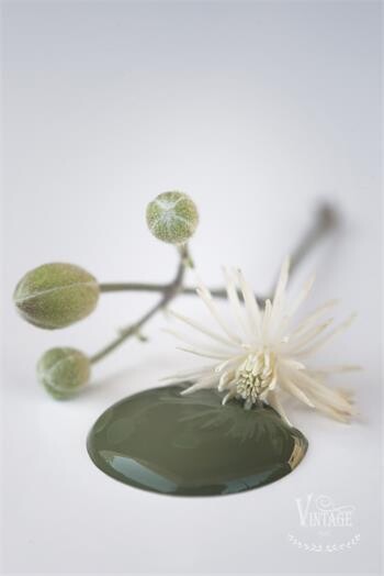 Olive Green Vintage Paint 700ml