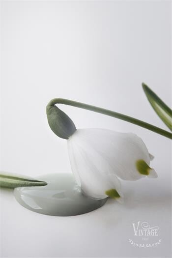 Dusty Green Vintage Paint 700ml