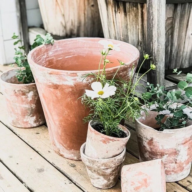 Fresco - Aged, Weathered, Timeworn Rustic Textured Pots - Wed 22nd January or Sat 25th January.