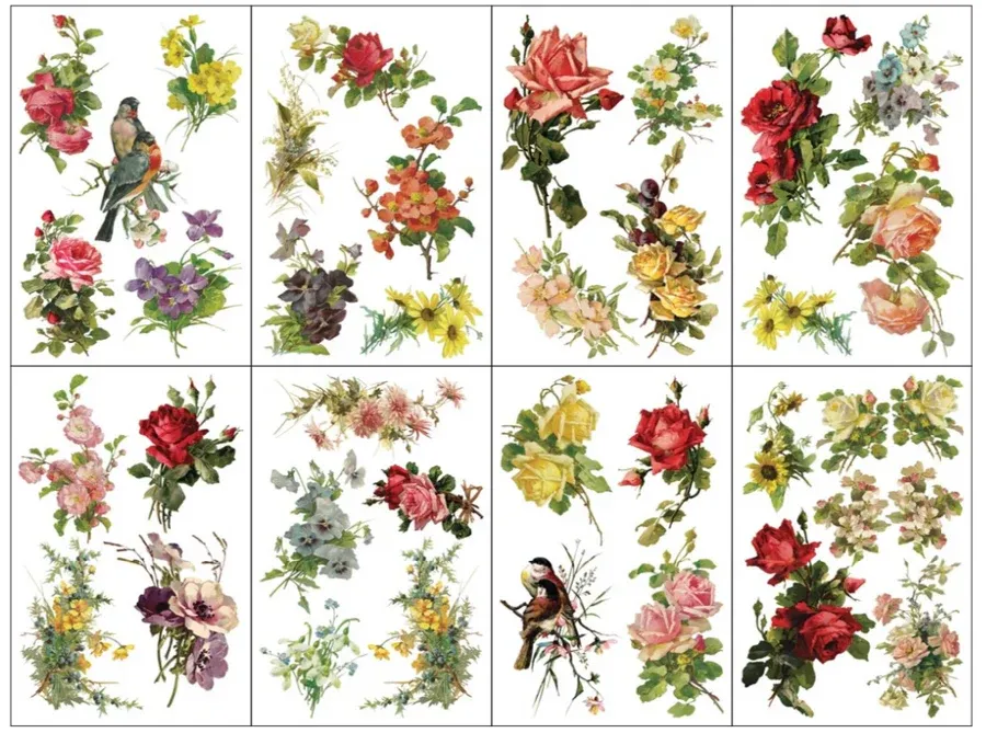 Catharina Decor transfer